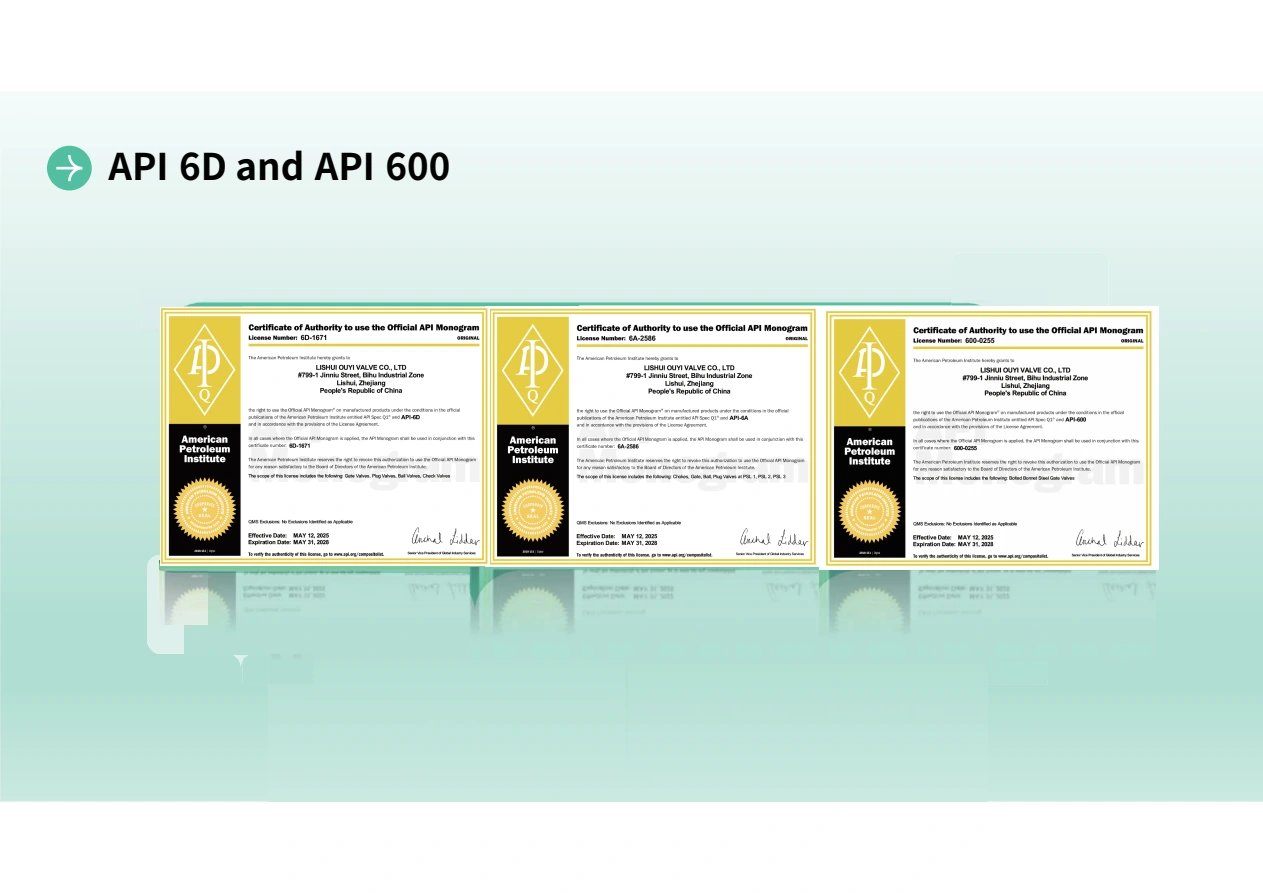 API 6D, API 6A & API 600