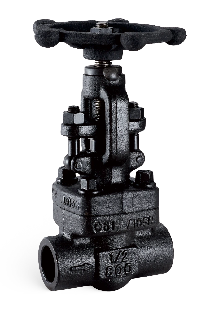Forged globe valve
